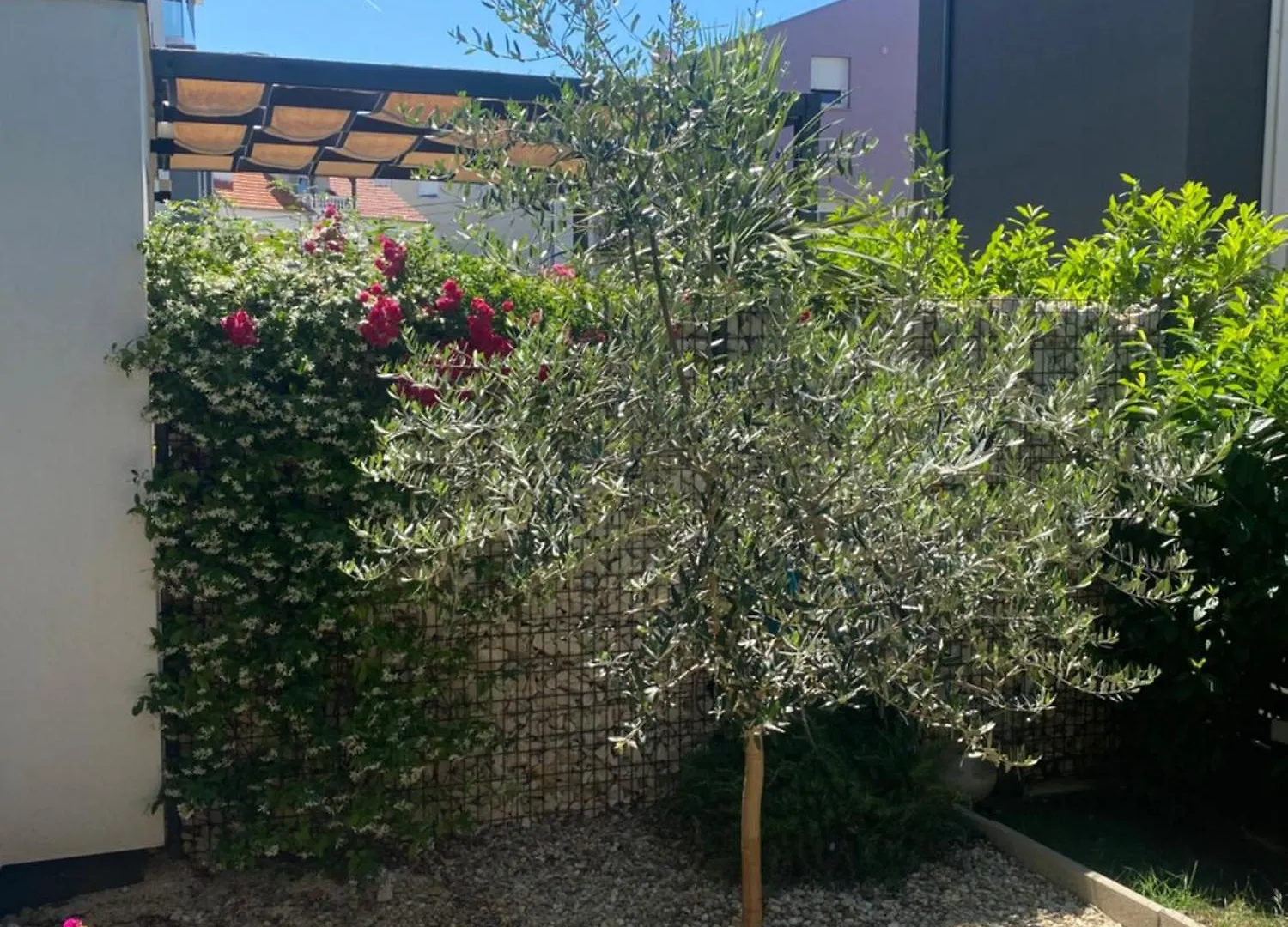 Appartamento Apartman Anna Zara